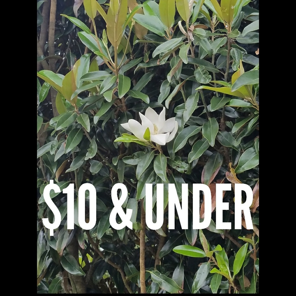 $10 & UNDER